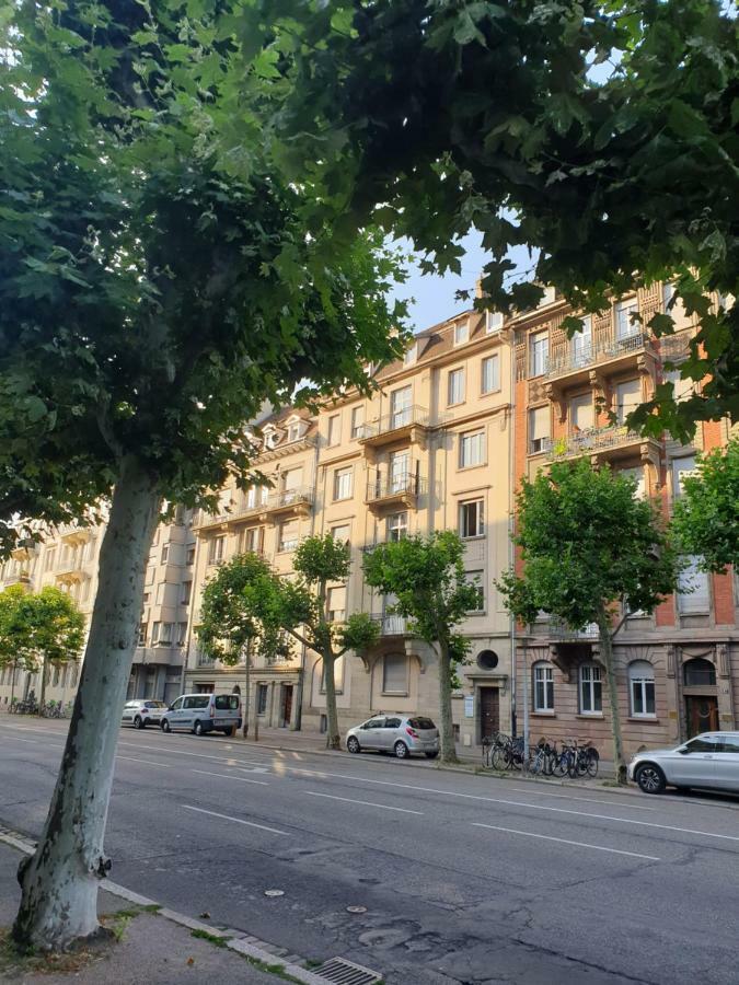 Strasbourg Centre Le 85, Superbe F5, 125M2, 5 Pieces Estrasburgo Exterior foto